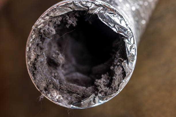 Best Duct Cleaning Specialists  in Lake Park, FL