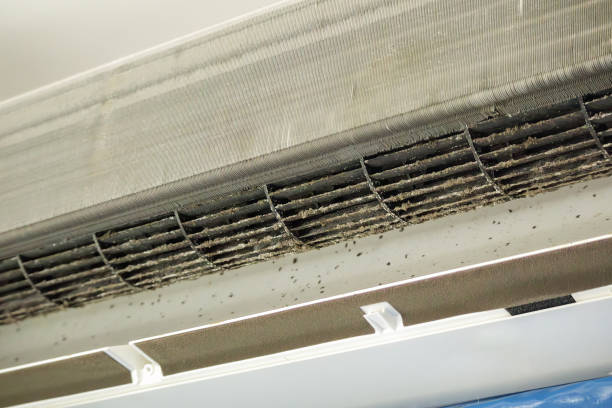 Best Air Duct Cleaning Near Me  in Lake Park, FL